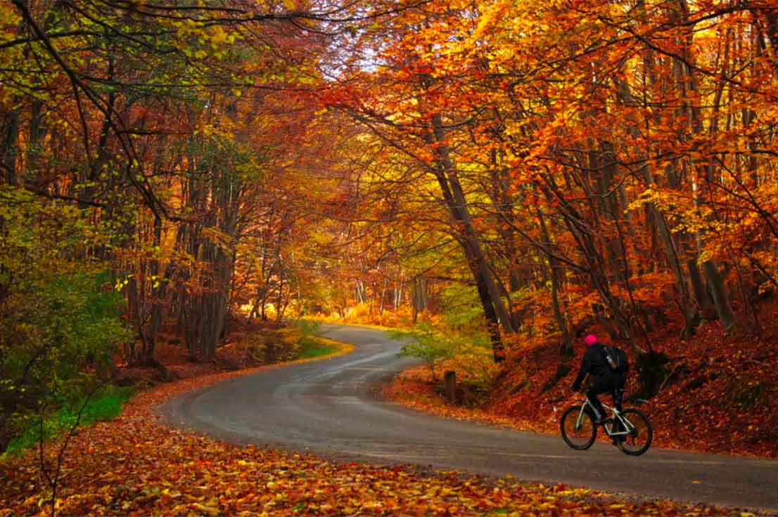 budget velo electrique automne